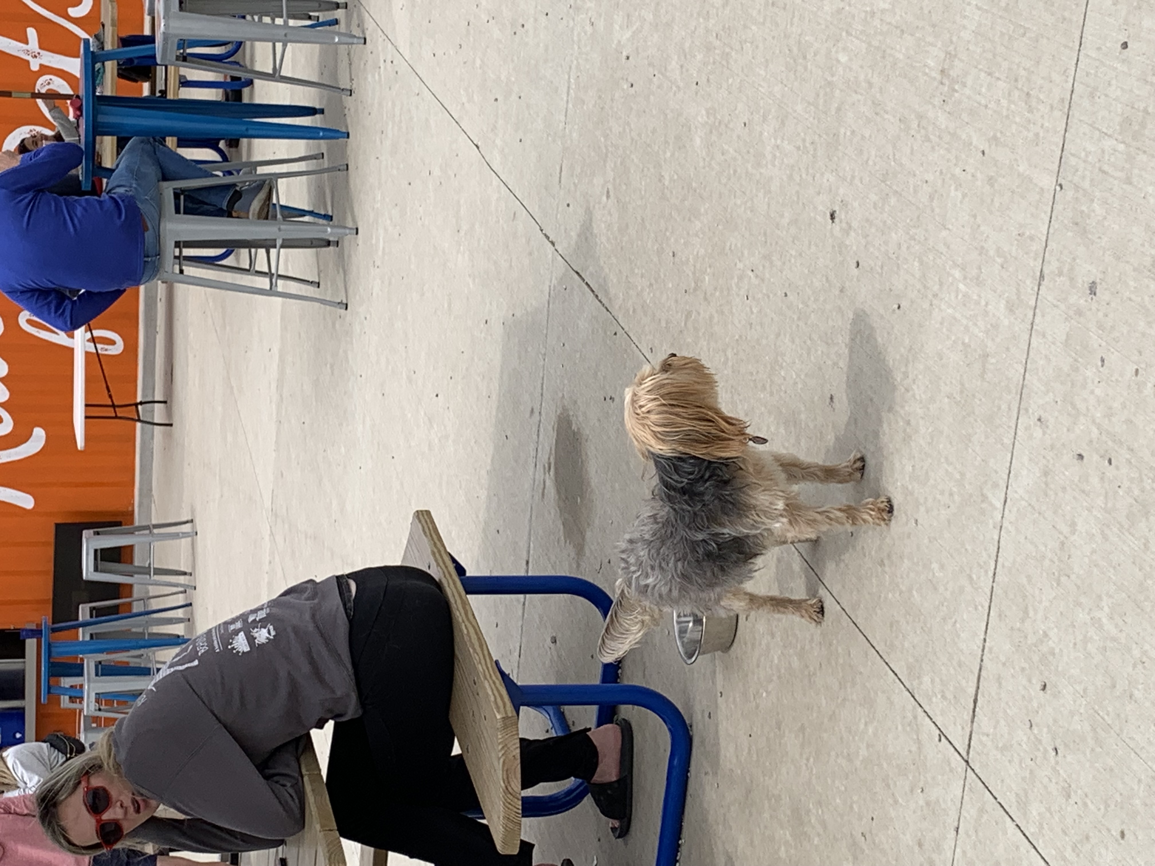 ./2022/06 - St Louis/02 - Day 2/20220522-122614724.JPG